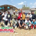 Diserbu Kungmania Pemula, Jawara Dewa Amor, Srius & Arjuna Moncer Bareng di Liga Hanging Papepro “Sultan Madura” Palengaan Pamekasan