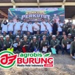 Dihadiri Wakil Bupati Pasuruan, Jawara Monster, Manik Maya, Adi Putro & Aura 26 Terbaik Di Podium Utama Konkurs Bupati Pasuruan Cup 2026