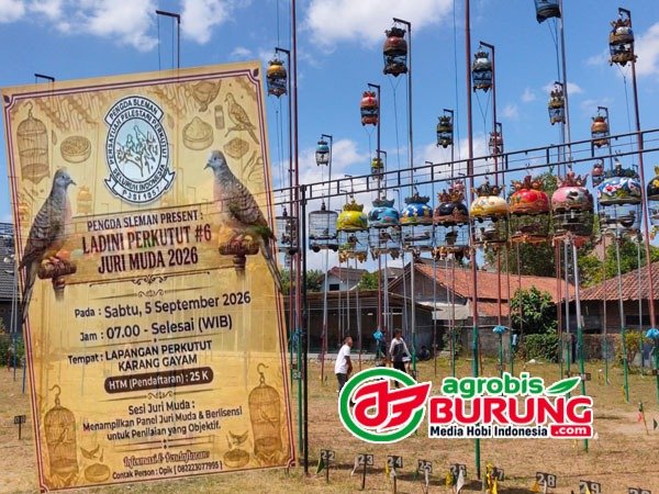 jogja copy