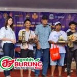 Tetap Jadi Konkurs Paling diburu Kungmania Indonesia, Jawara Papa Dimitri, Haitam & Cinderella Terbaik Pertama Di LPI Piala Raja Cup 2026 Jogja