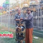 Punto Team Jakarta Take Over Jawara Muda Dari Along Kopa Bf Surabaya, Dealnya Eksklusif
