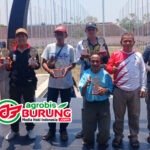 Semakin Diminati Kungmania Anyar,  Jawara Mas Karyo, Balaraja & Nirwana Melejit Diurutan terbaik 1 Liga Perkutut Salatiga 2026