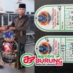 Nurul Anggun Sokobanah Sampang Lagi Lagi Take Over Jawara “Simpanan” ASM  Sumenep, Maharnya Istimewa