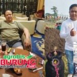 Jawara Gonzales Bikin Heboh di Baringga Cup Bandung, Langsung Ditransfer Hendry WAT Tasikmalaya & Sekaligus Dijebol Indukan Betina (Mutiara K-FFF), Total Nilai Transaksi Spektakuler