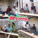 Paguyuban Perkutut Melati Sumenep, Keanggotaan Guyub Latihan “Kompolan” Bisa Tembus 2 Blok, Fasilitas Lapangan Ready 7 blok