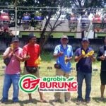 Aksi Terbaik Jawara Cah Sadewa & Maheswari Mengantarkannya Naik Posisi Utama Dikelasnya Latihan Dinilai Pengda Bojonegoro