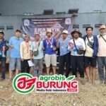 Perburuan Poin Klasemen Semakin Ketat, Jawara Nella & Si Doel Anak Betawi Melejit Diposisi Pertama #8 Liga Piyik Kab. Tangerang