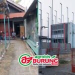 Kembali Semarak, Jawara Bintang Pantura, Zippo & Siska Ramaikan Podium 1 Latihan Dinilai Ragil Cup 2026 Brebes