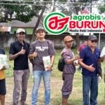Diwarna Transaksi Deal Jawara Mangkurat, Jawara Bagong & New Diktator Terbaik Dikelasnya #8 Liga Bumi Roban Bojonegoro