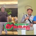 Kesengsem Piyik Potensial WAT Semar Mesem, Dadan Danker Kuningan Akhirnya Jebol Indukannya Sekalian dengan Nilai Transaksi Istimewa